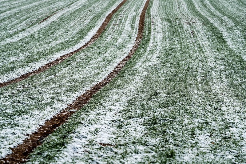 Agricultural fields in winter, Oberweser, Upper Weser Valley, Weser Uplands, Weserbergland, Hesse, Germany, Europe