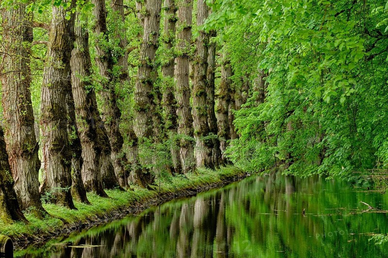 Canal tributary of the river Cher, castle of Chenonceau, 16th century, Chenonceaux, department of Indre and Loire, France, Western Europe, Europe