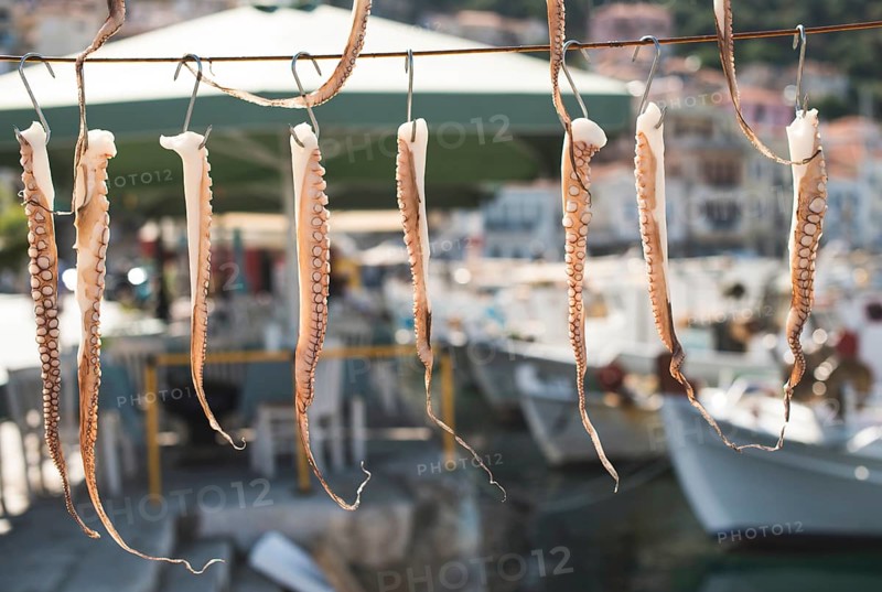 Octopus tied on rope and boats