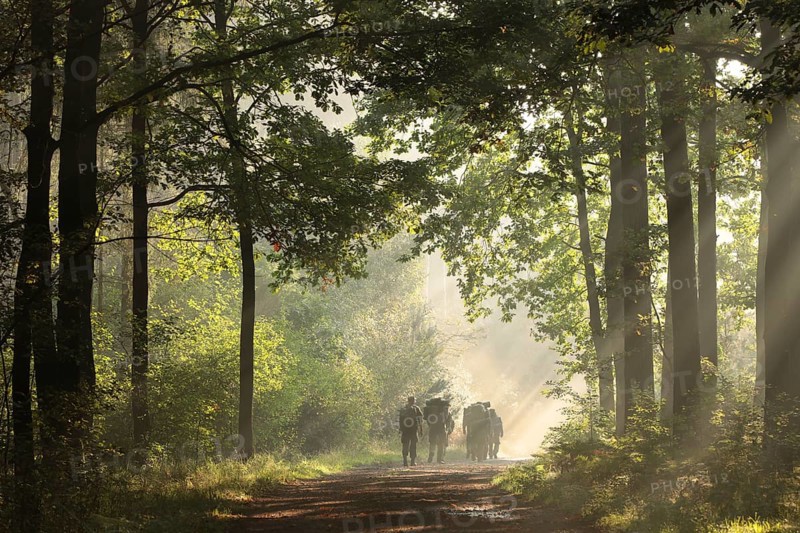 Soldiers walk along a path through an early autumn forest on a sunny, foggy morning