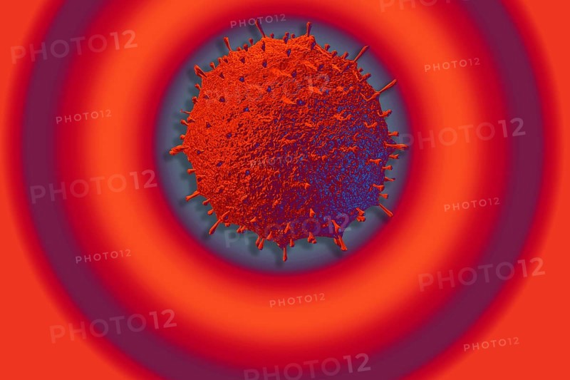 Covid-19 Novel Coronavirus Bacteria. No Infection and Stop Coronavirus Concepts