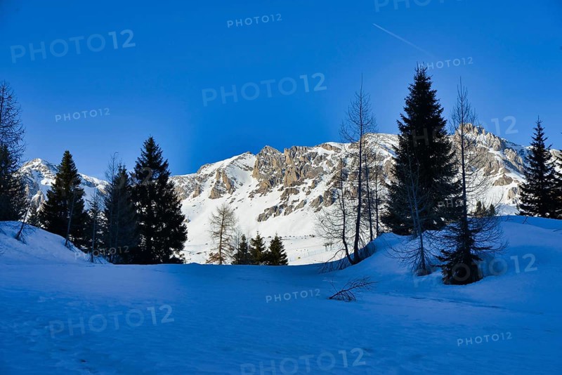 Winter landscape with trees and snow, photo picture digital image, in the italian european dolomiti alps mountains between trento and belluno in north italy
