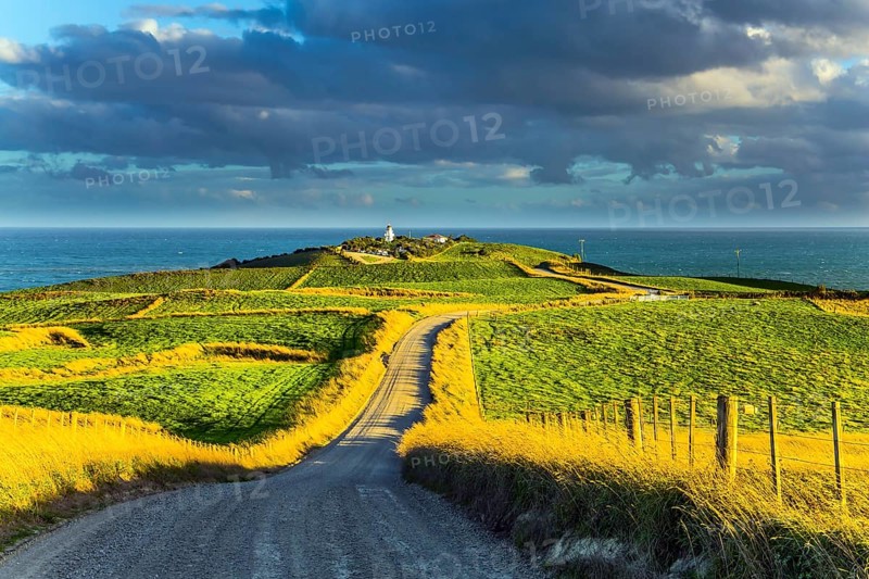 Southern Scenic Route. South Island of New Zealand. Incredible orange sunset over green fields. Lush cumulus clouds are lit by the sun. The concept of automotive and photo tourism