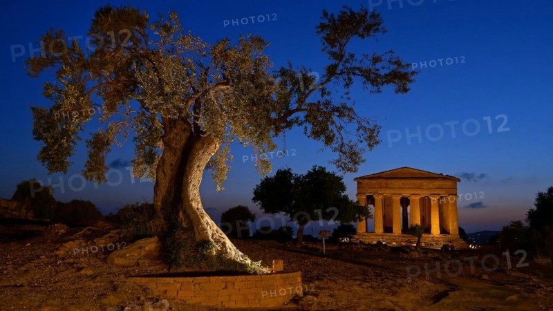 Italy, Sicily, Agrigento, Temple of Concordia by night, Temple of Concordia, Greek antiquity, Europe