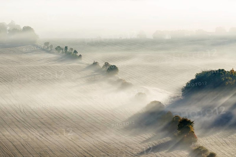 Morning fog on a new harvested field