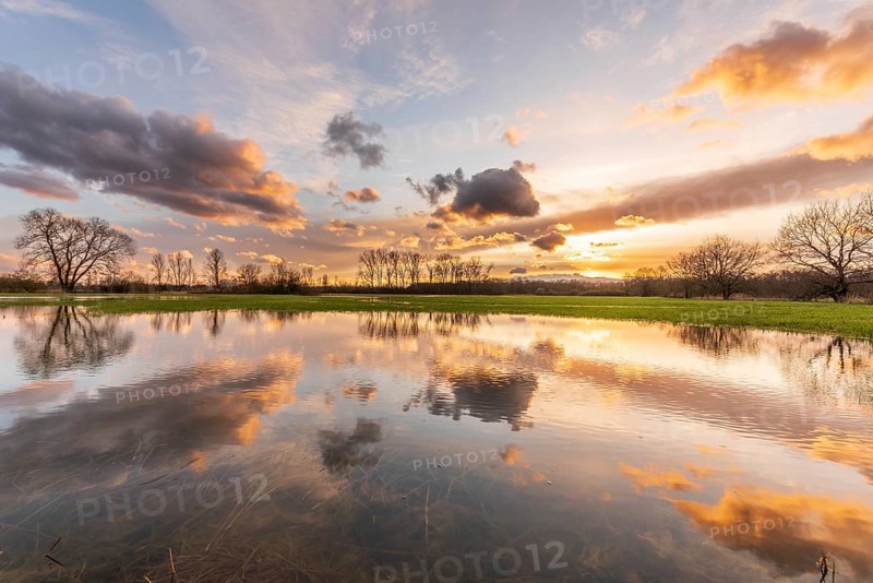 Sky of pink and orange clouds reflecting in a flooded meadow in the evening. Alsace, France, Europe