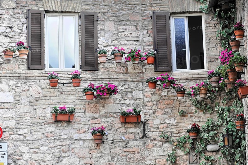 Assisi, Umbria, Italy, Europe, stone wall decorated with numerous flower pots in warm colours, windows with wooden shutters and ivy entwining the façade, Europe