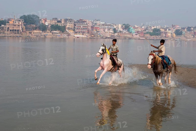Boys riding horses ganga river, varanasi, uttar pradesh, india, asia