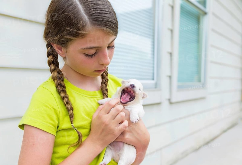 Girl playing with puppy chihuahua pet dog outdoor