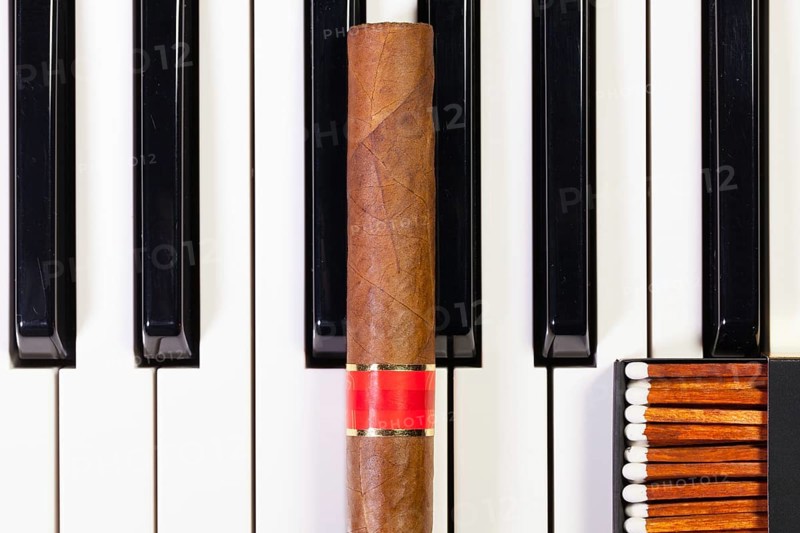 Detail of piano keyboard and luxury cigar