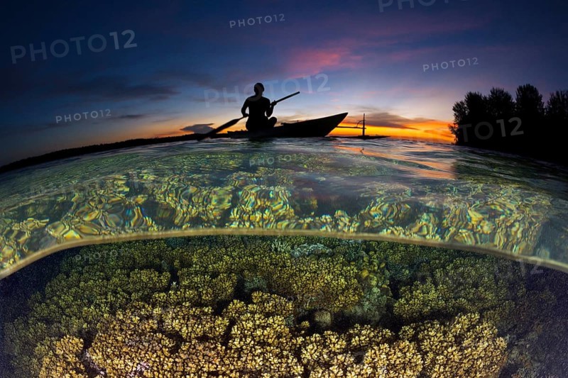Coral reef at sunset, New Ireland, Papua New Guinea, Oceania