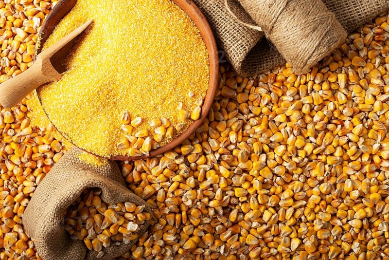 Yellow corn kernels with clay bowl in burlap sack flat lay