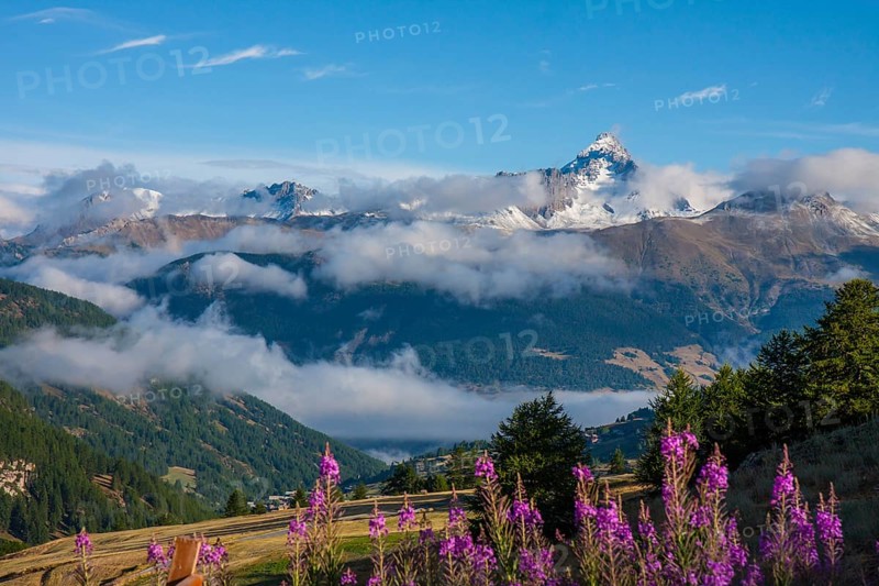 3320 metre high mountain Pic de Rochebrune in the Queyras massif, seen from the mountain village of Saint-Veran, highest municipality in Europe, department Hautes Alpes, region Provence Alpes Cote d'Azur, Maritime Alps, Alps, France, Europe