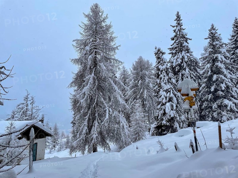 Chalets in the Motta Naluns ski area, Scuol, Graubünden, Switzerland, Europe