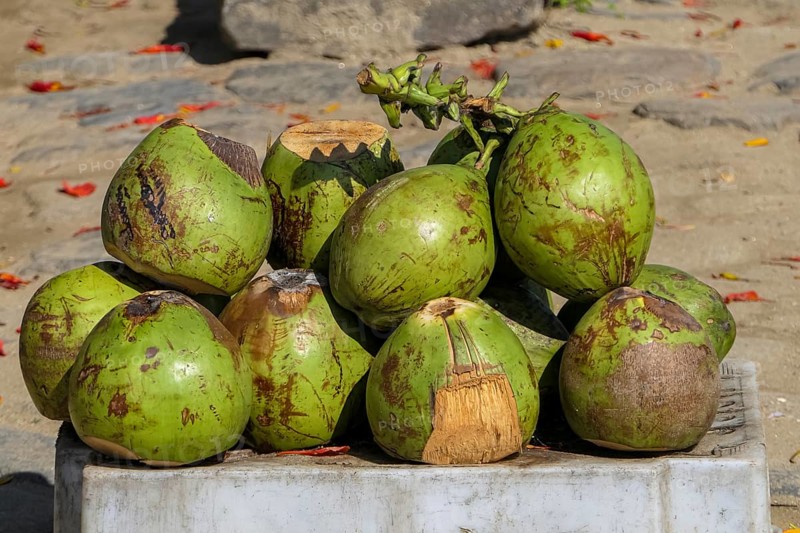 Close-up of fresh green coconuts stacked ready to sell on a market in historic town Paraty, Brazil, Unesco World Heritage, South America