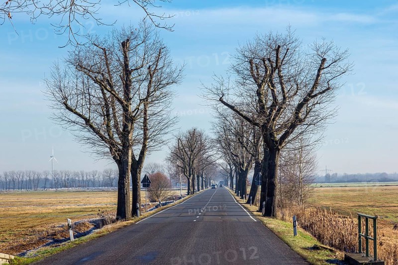Avenue