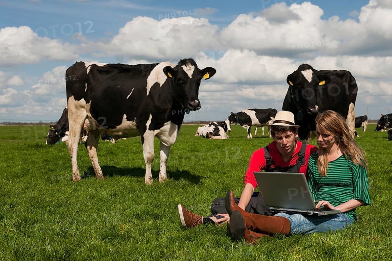 Young couple farmers in farm field with laptop and black and white cows