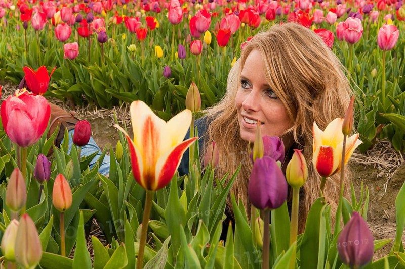 Portrait of a beautiful blond Dutch girl in tulips field
