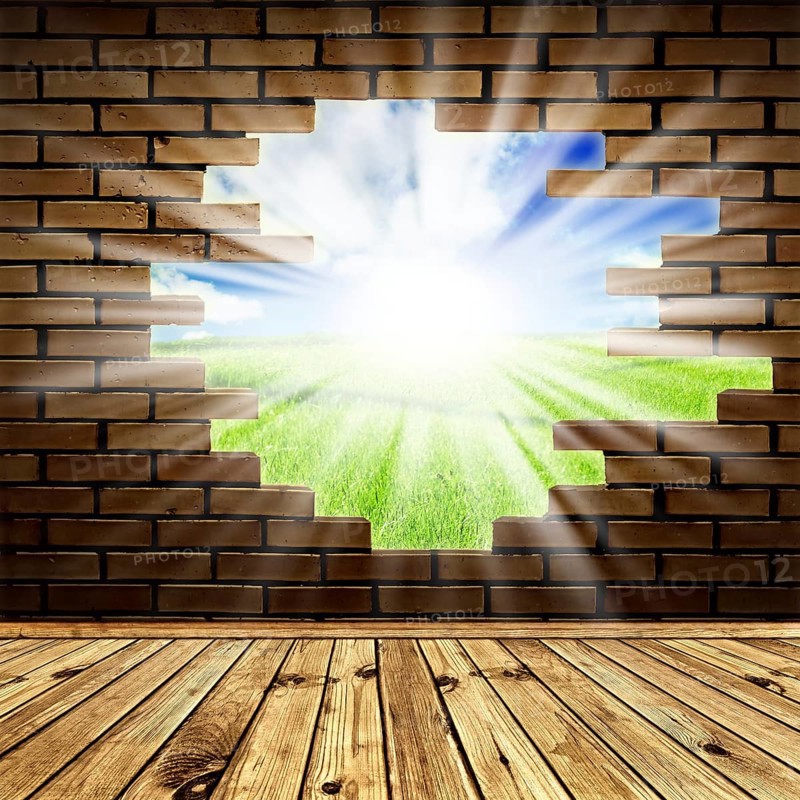 Summer scenery through the hole in the brick wall of room with wooden floor