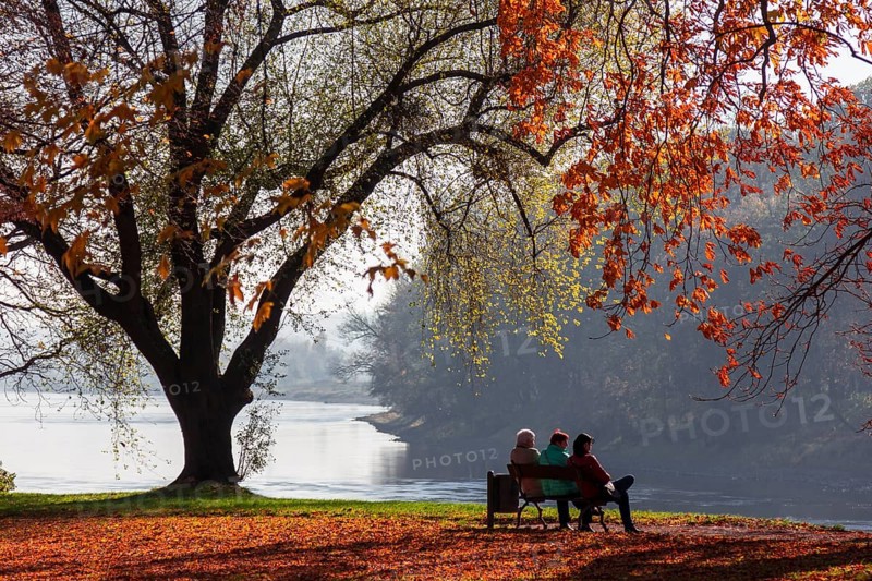 Autumn