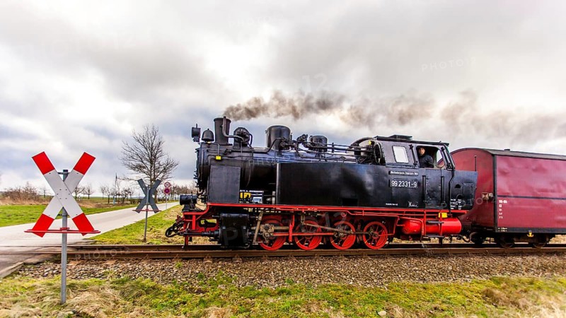 Molli train