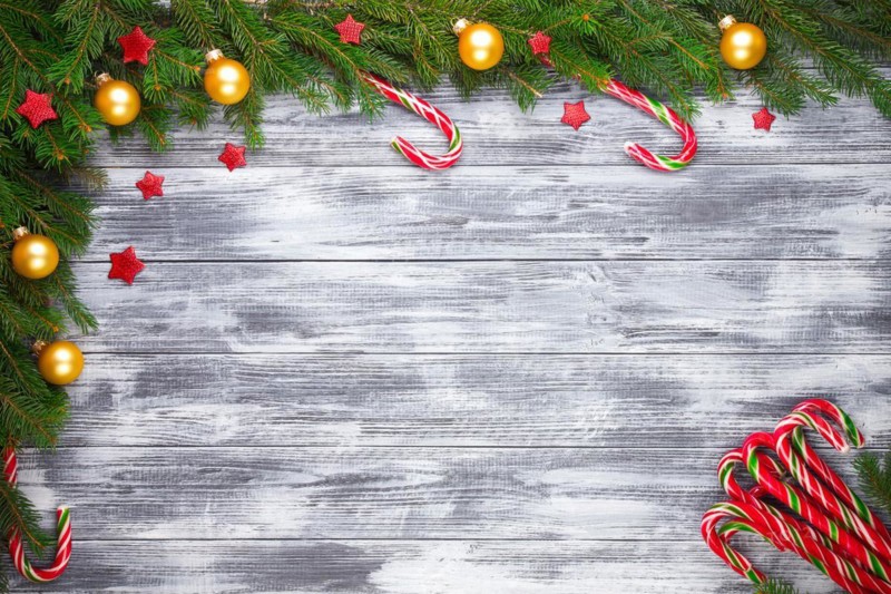 Christmas fir tree on wooden grunge background