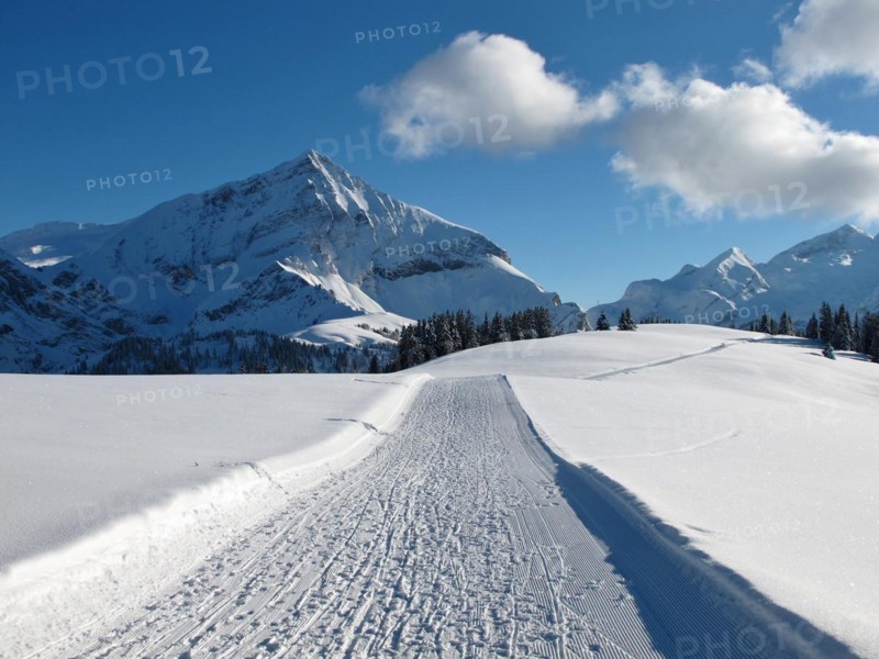 Ski slope on the Wispile, Spitzhorn