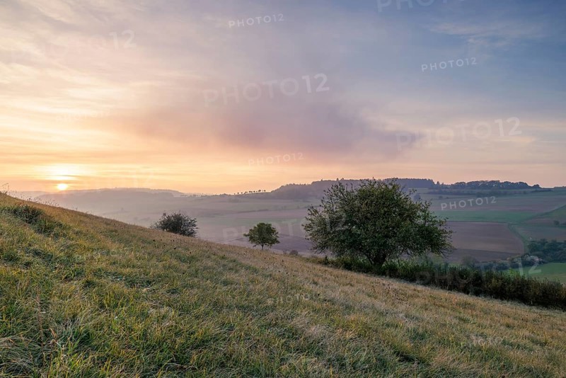 Hills and trees at sunset, soft colours and a wide, peaceful landscape, Bisberg, Watterdingen, Hegau, Lake Constance region, Baden-Württemberg, Germany, Europe