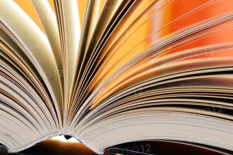 Composition with hardcover books in the library