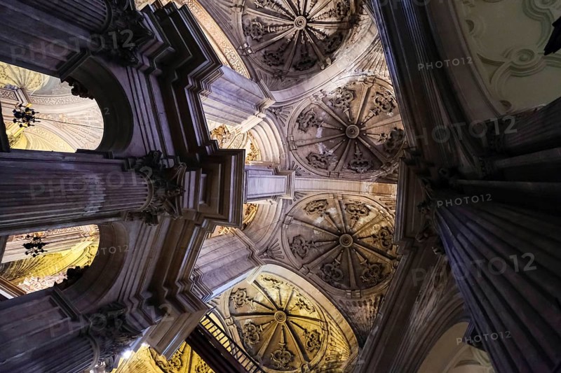 MALAGA, ANDALUCIA/SPAIN - JULY 5 : Interior View of the Cathedral of the Incarnation in Malaga Costa del Sol Spain on July 5, 2017