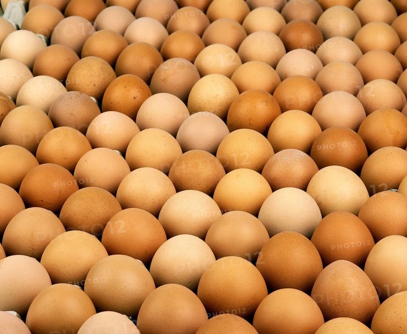Chicken Egg, Chicken Eggs, Eggs, Display of Chicken Eggs