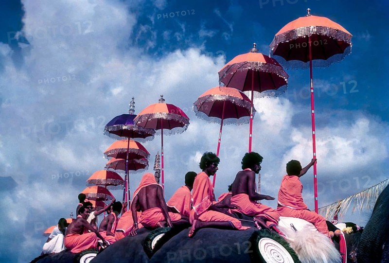 Colorful view of the Thiruvembady group in Pooram festival at Thrissur Trichur, Kerala, South India, India, Asia