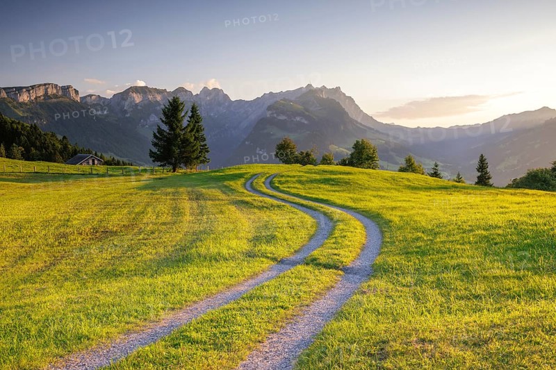 A winding path meanders across a green meadow towards the mountains at sunrise, Fähnerenspitz, Brülisau, Appenzell Innerrhoden, Switzerland, Europe