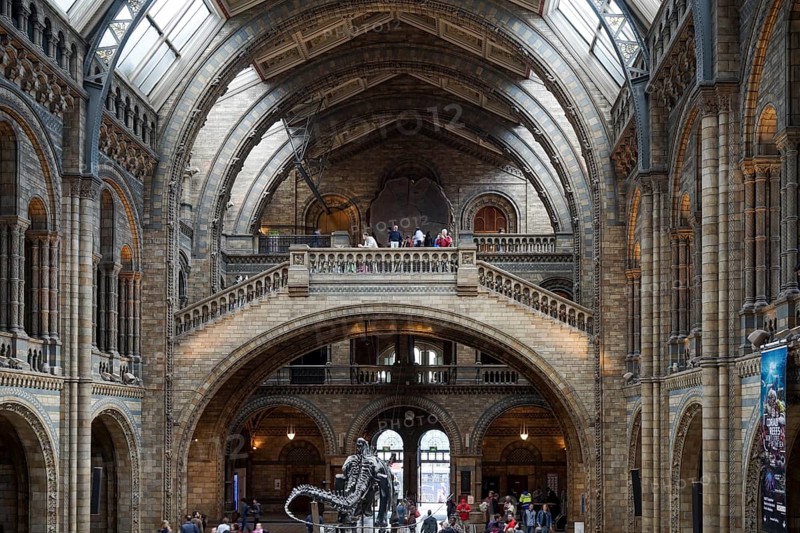People exploring the National History Museum in London