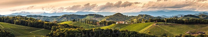 Vineyards panorama in South Styria, beginning of autumn. Austria Tuscany like spot