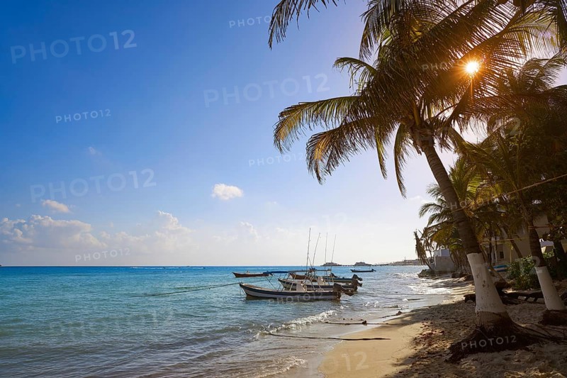 Playa del Carmen beach palm trees in Riviera Maya Caribbean of Mexico