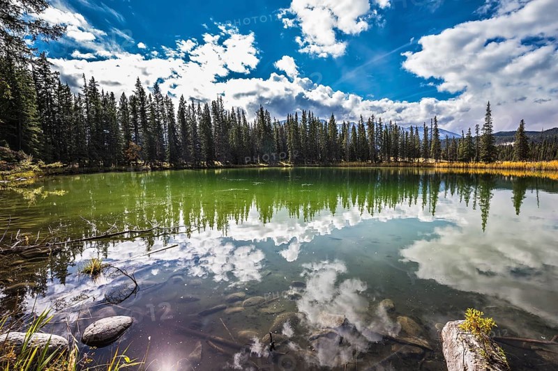 The shallow round lake is surrounded with the turned yellow bush and evergreen fir-trees
