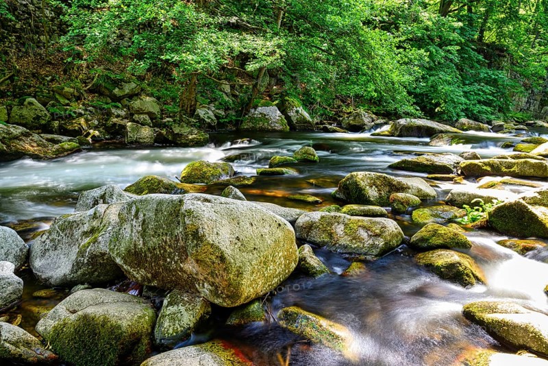 A view of the Bode riverbed in the Harz Mountains in glorious sunshine