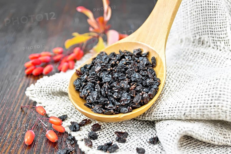 Dried black barberry in a spoon on sacking, sprigs with fresh berries and leaves on a dark wooden board background
