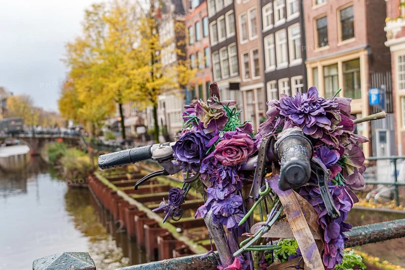 Decorated bicycle with purple flowers on a bridge in an urban environment, Amsterdam, Netherlands