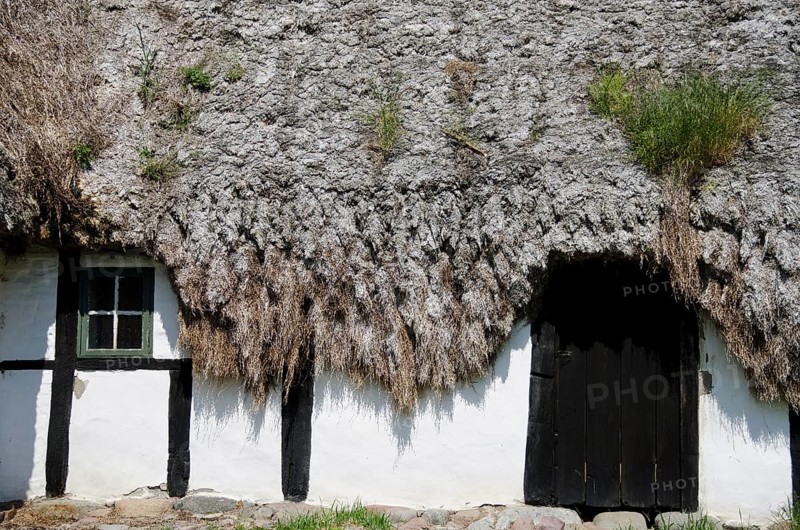 Detail of a medieval farm house with sea grass thatched roof, Denmark, Europe