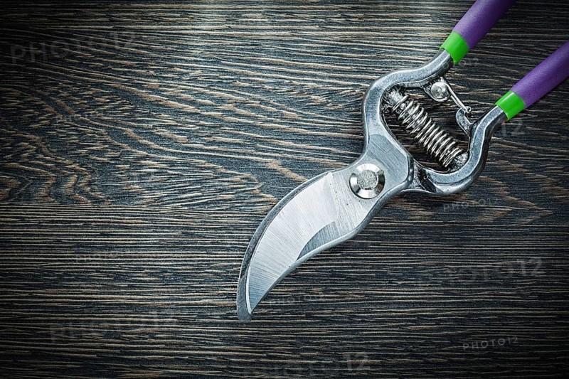Sharp garden pruner on wooden board