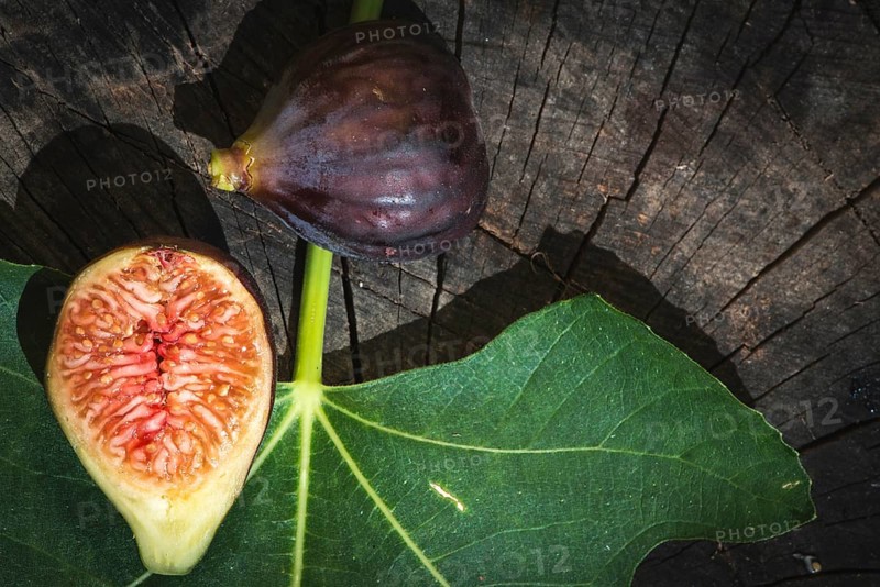 Figs and leaves on wood. Sun light