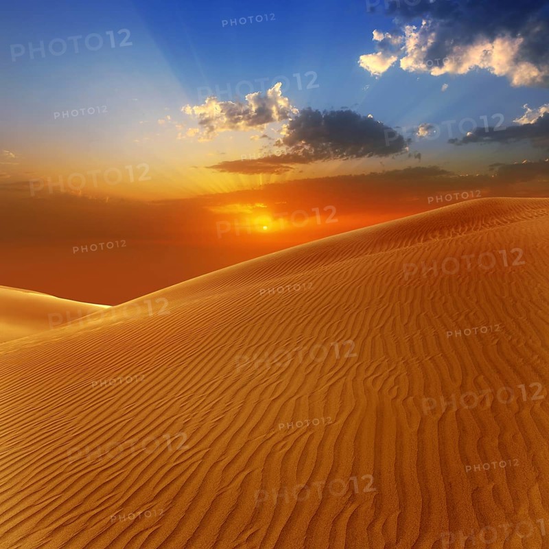 Desert sand dunes in Maspalomas sunset Gran Canaria at Canary islands