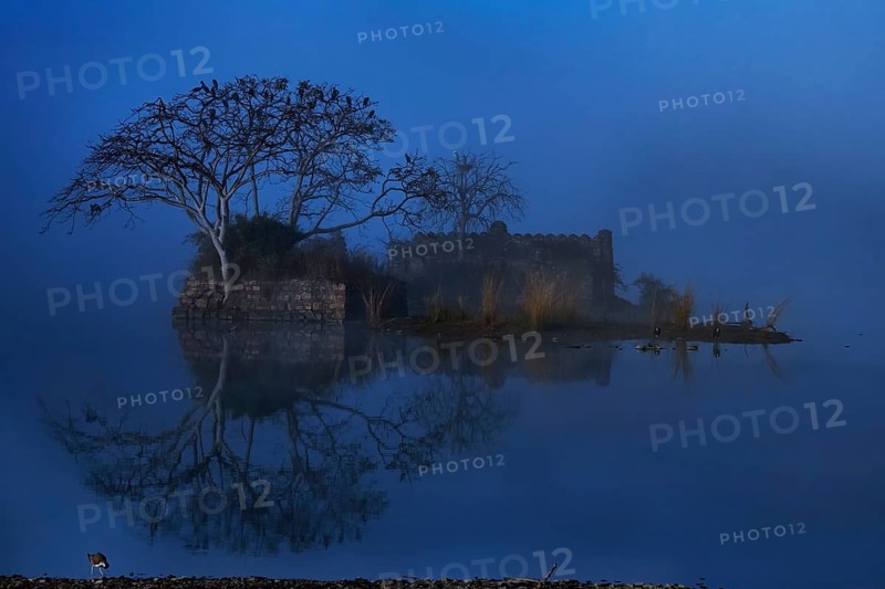 An ancient building a trees reflecting off the waters of a Blue Lake in winters in Ranthambhore national park, India, Asia