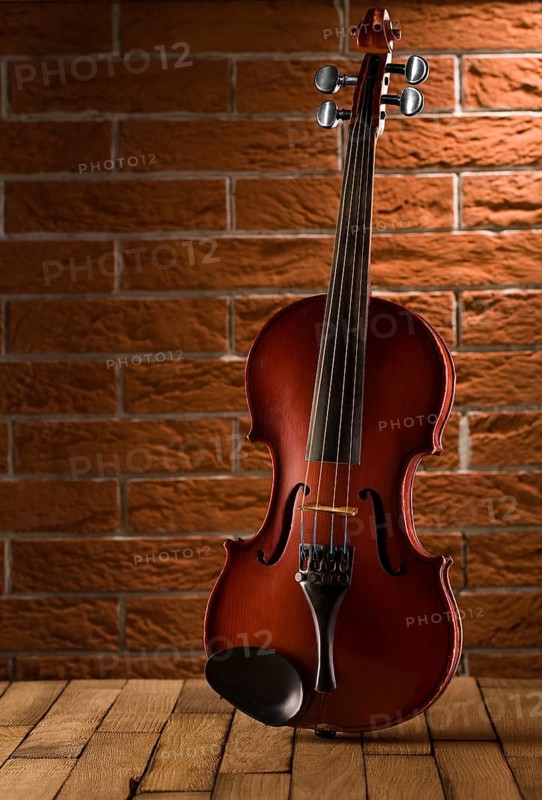 Old violin on table
