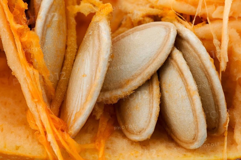 Seeds inside the pumpkin. Very close up