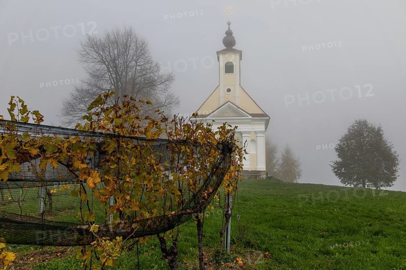 Autumn atmosphere with fog in the vineyard, Theresienkapelle, Mass Chapel Maria vom Guten Rat, Sausal, Styria, Austria, Europe