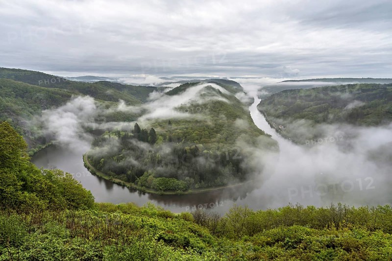 The Saarschleife in Mettlach is covered in fog in the morning in spring, Germany, Europe