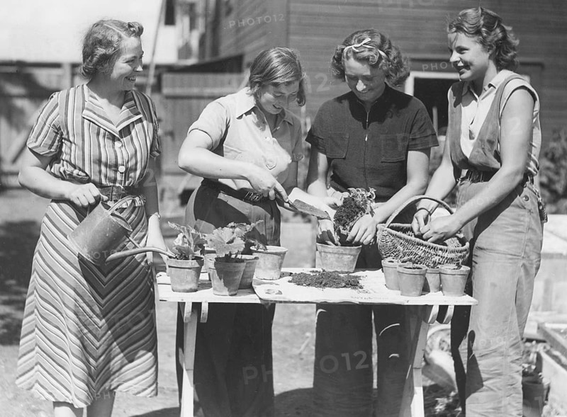 Gardening in the 1940s. Four women with plants and flowerpots. Sweden 1940s